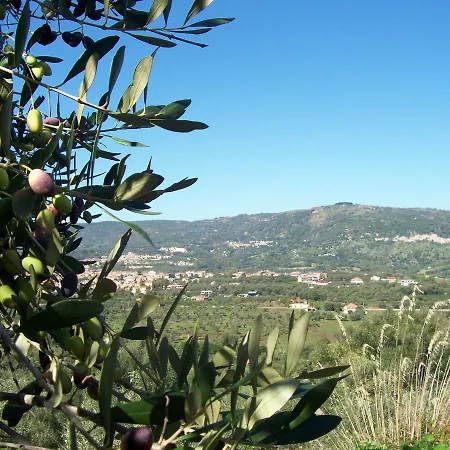 Agriturismo Falconiera
